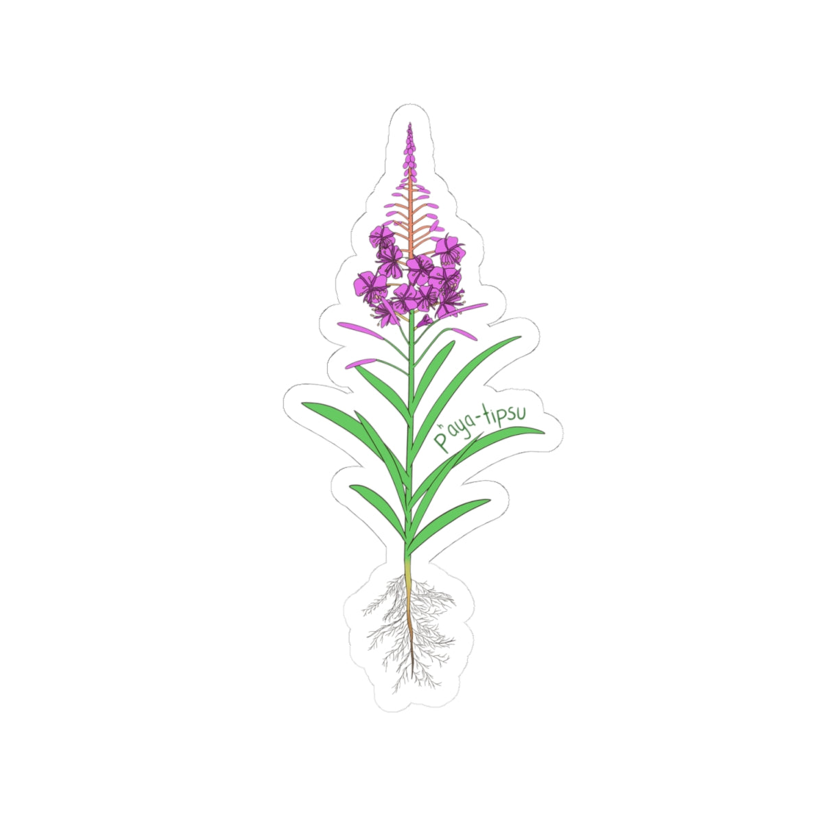 Fireweed Sticker