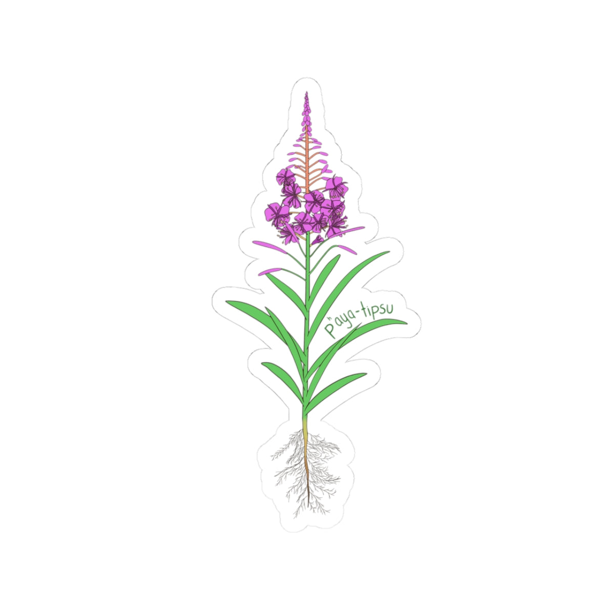 Fireweed Sticker